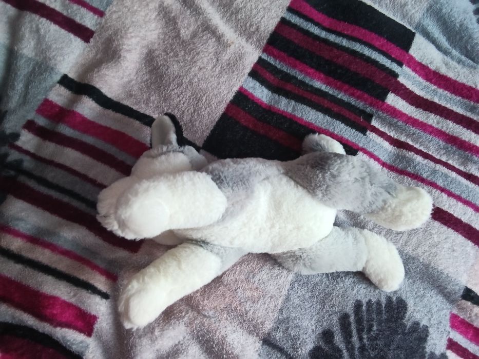 Продам велику гарну іграшку хаскі)