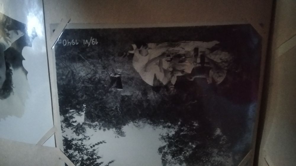Альбом с фотографиями 1938-1950