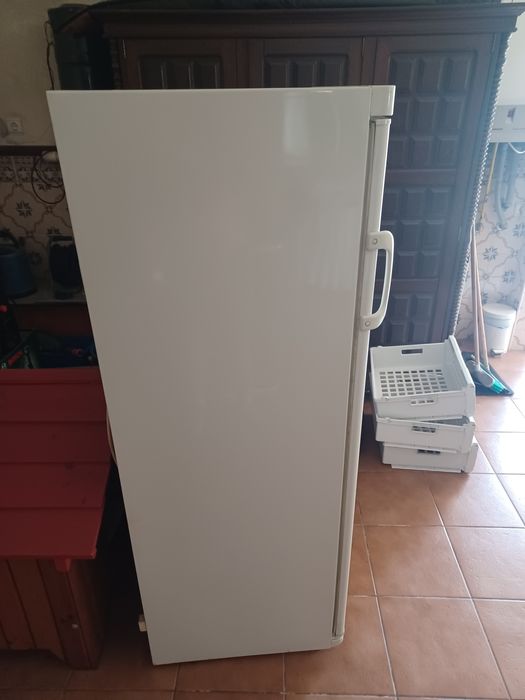 Arca congelador vertical BALAY