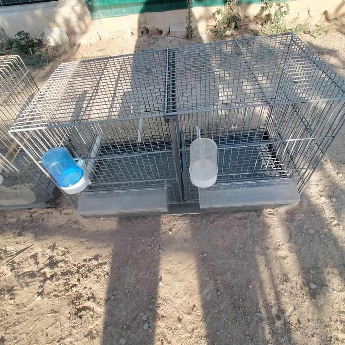 Gaiolas para canários