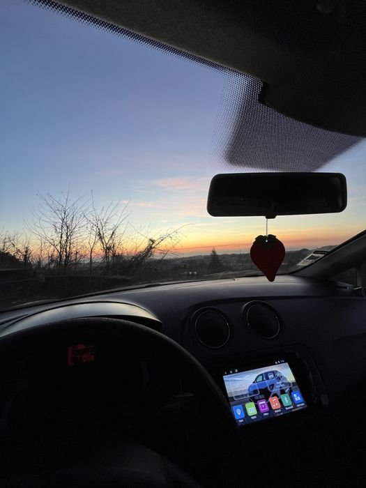 Seat ibiza 6j 2010