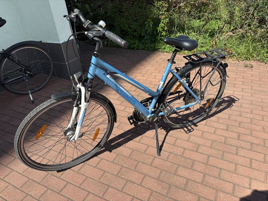 Rower Pegasus Piazza 50