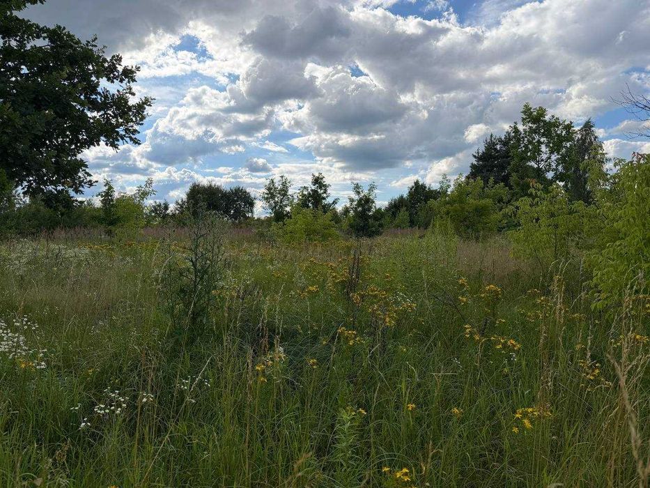 Продаж ділянки 15 соток під забудову. Електрика поруч. Біля озера. ID:792