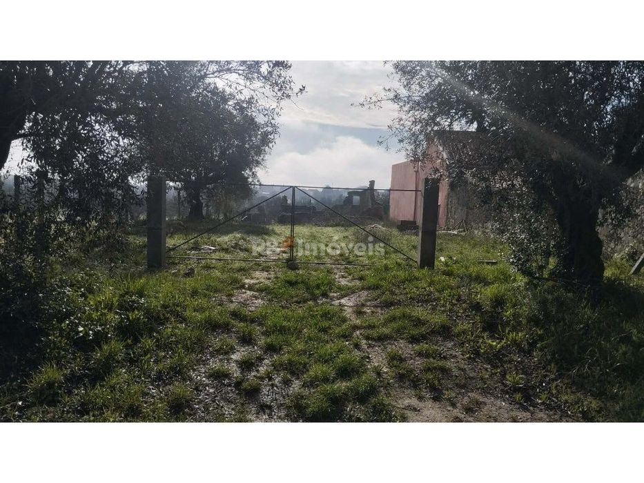 Terreno misto com 3080 m2, em Delongo