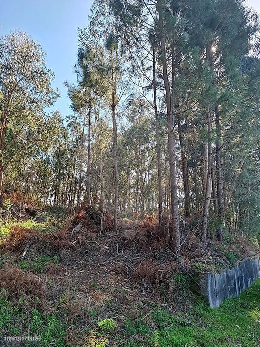 Terreno  para venda — Bouro (Santa Marta), Braga