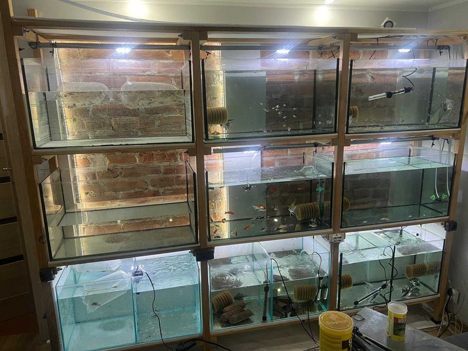 Regał akwarystyczny drewniany z 9 akwariami