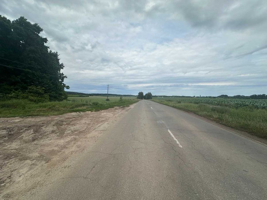 Продаж земельної ділянки 1,6 га, Фастівський район, Княжичі (Боярка)
