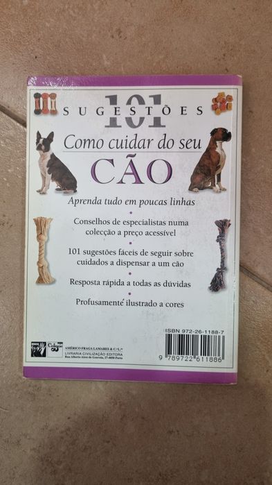 Como cuidar do seu cão