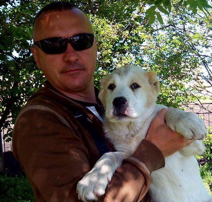 Туркменський Алабай