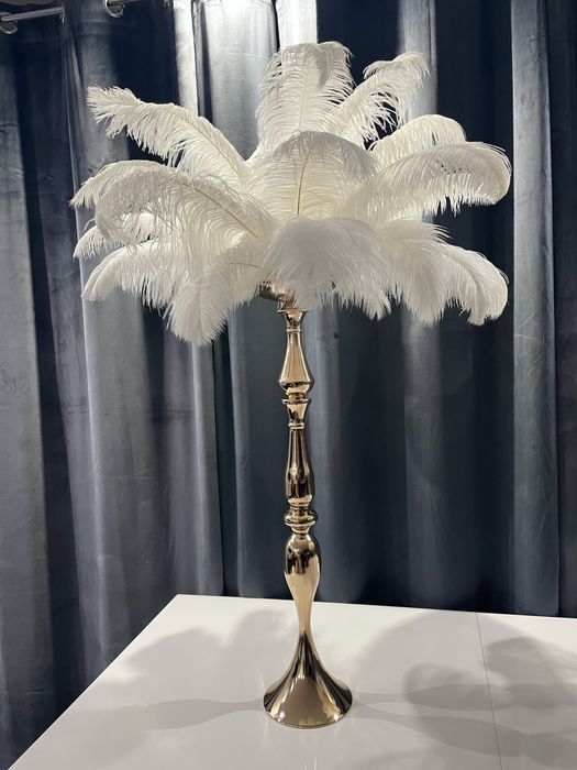 Kompozycje strusie piora