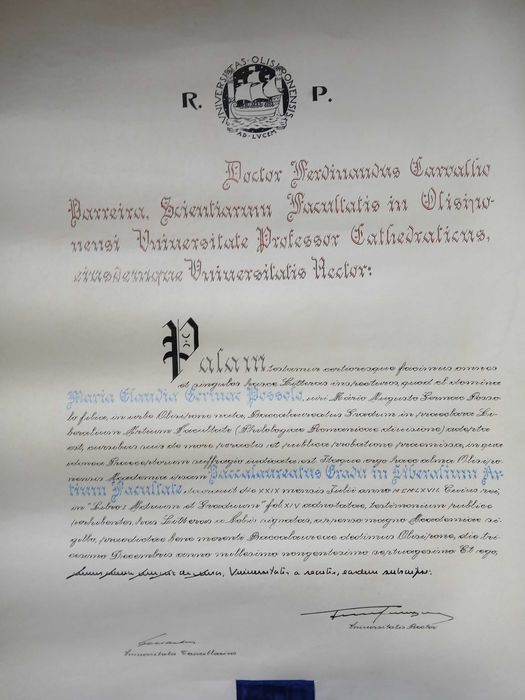 Diploma universitário com selo em prata