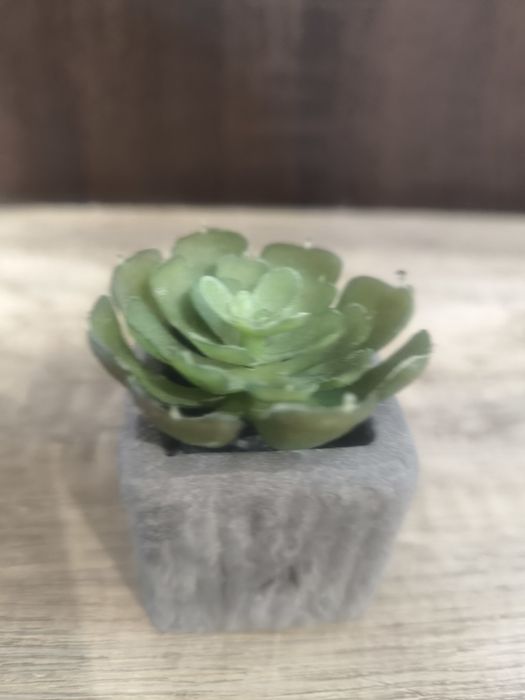 Sukulent mały sztuczny w doniczce z magnesem