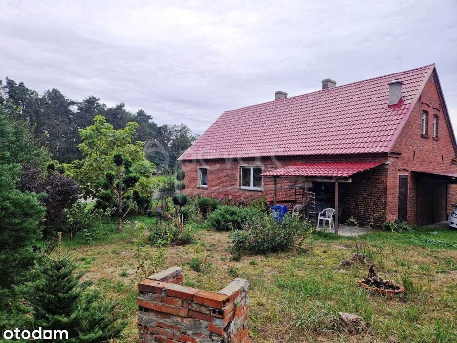 Dom – Kotowskie, powiat ostrzeszowski - Widok 3
