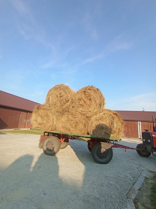 Sprzedam ekologiczne bele siana 120