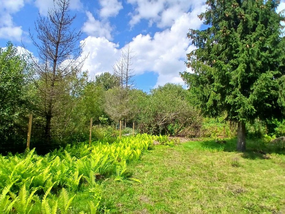 Ogródek działkowy