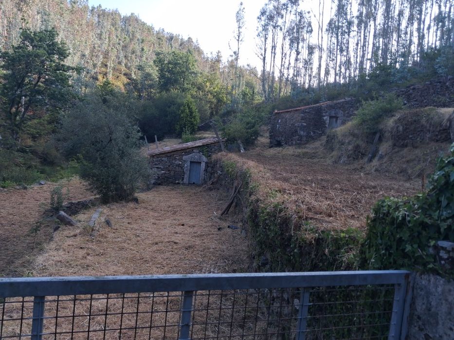 Limpeza de terrenos agrícolas e florestais