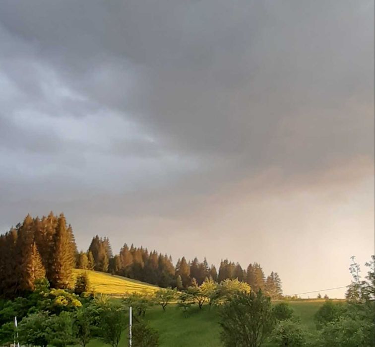 Від власника земельна ділянка під забудову!