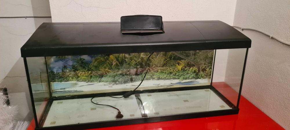 Aquário 100 litros