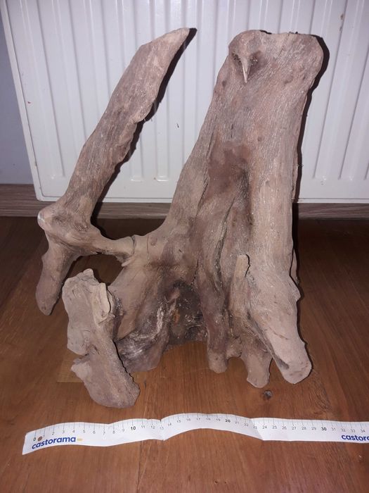 Korzeń do akwarium (terarium) duży #1