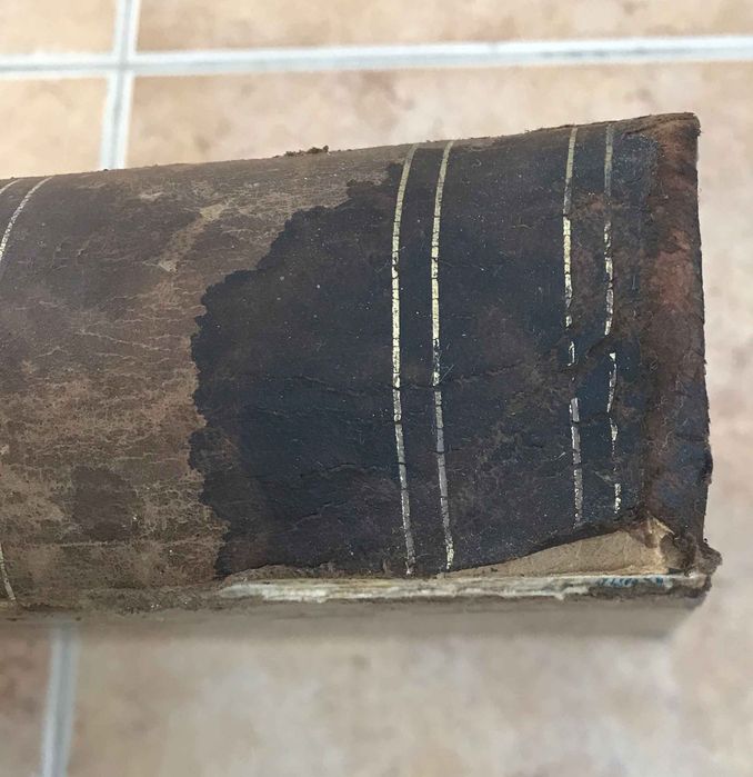 Obras completas de Almeida Garrett Theophilo Braga Volume I e II 1904