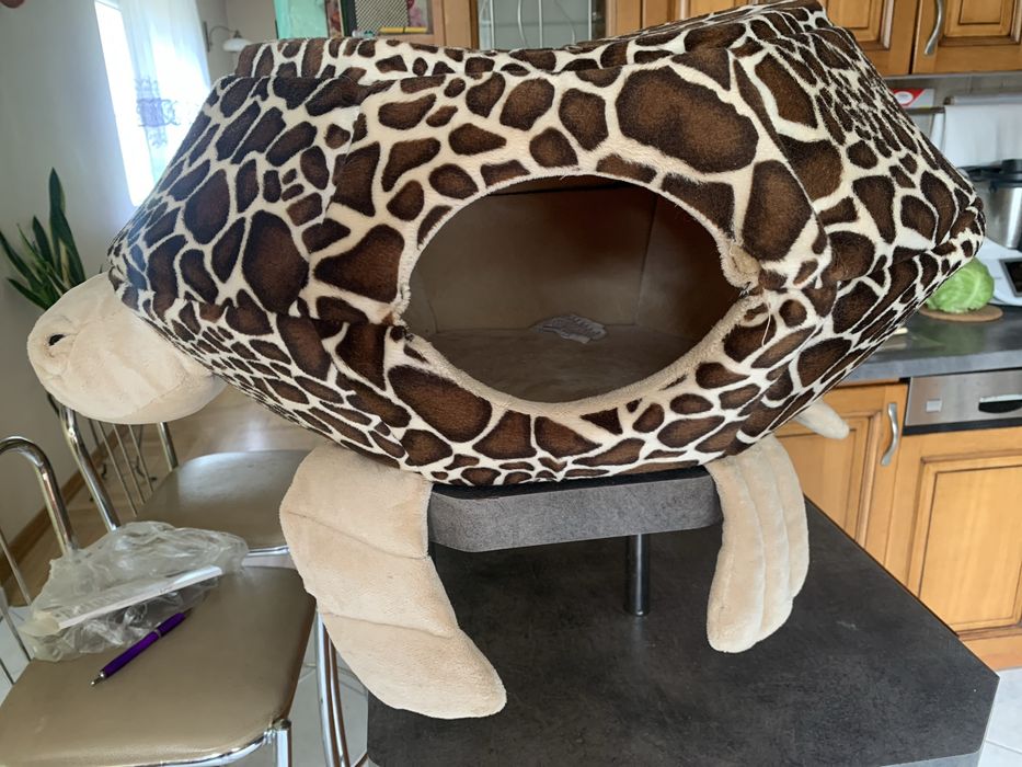 Domek kotu Żółwik