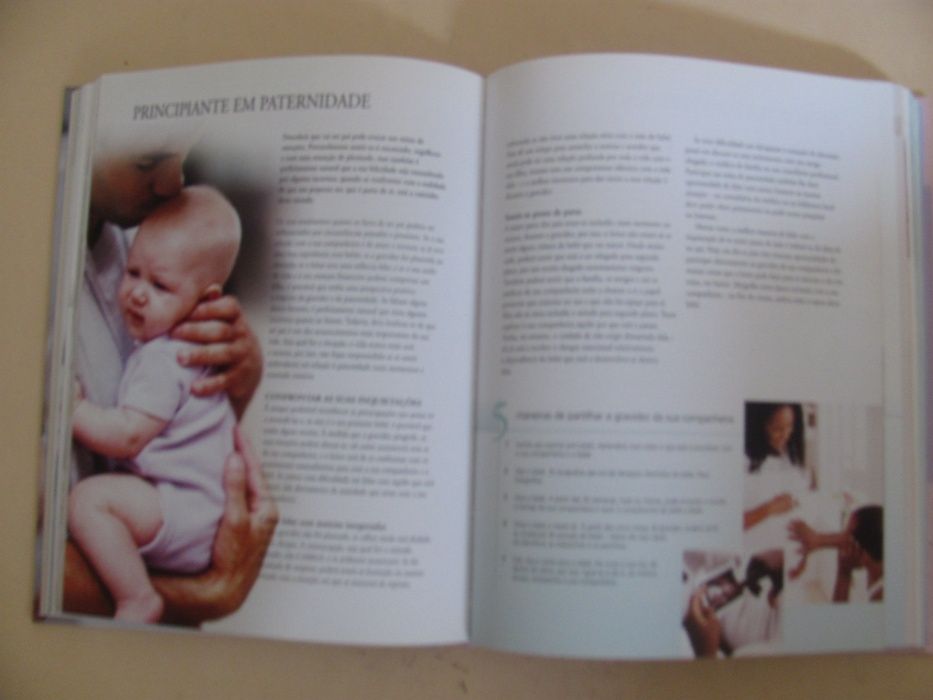 A Bíblia da Gravidez de Anne Deans