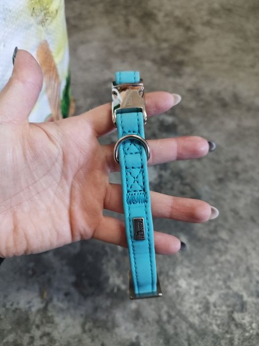 Conjunto coleira e peitoral Hunter