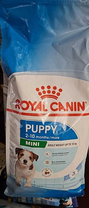 Royal Canin Mini Puppy 8 kg Dla Szczeniąt Ras Małych    ,,, KARMA na WAGĘ ,,   + Wiadro GRATIS