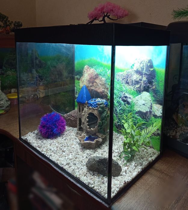 Аквариум 35 литров полный комплект
