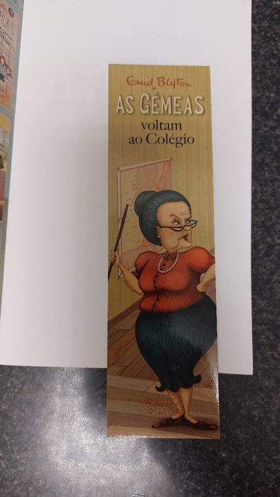 Livro as Gémeas novo