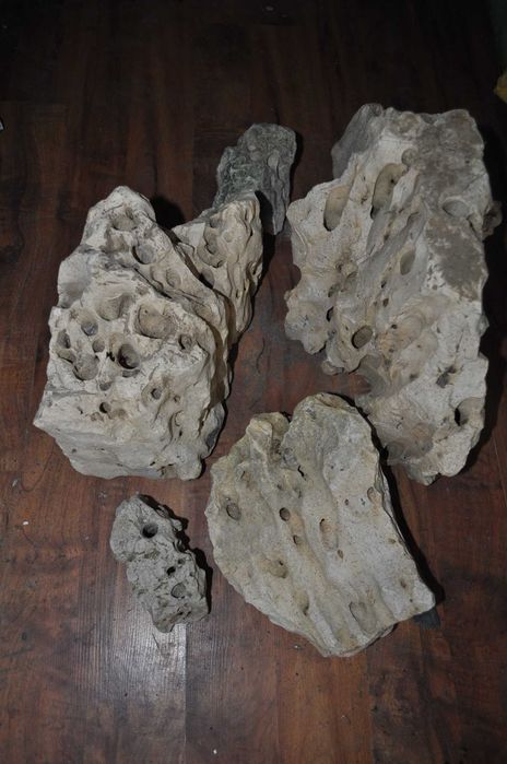 Skały akwarystyczne wapień filipiński