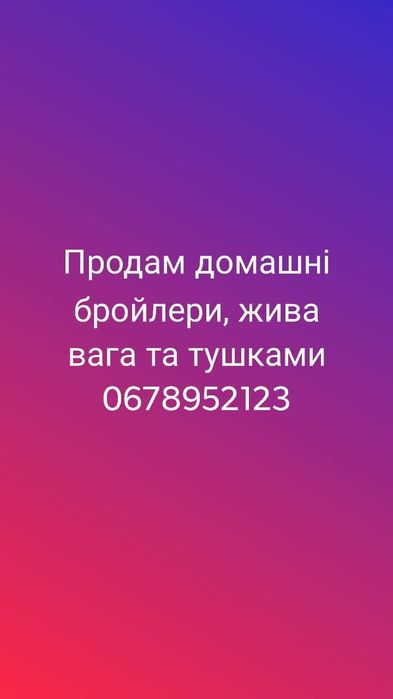 Продам домашні бройлери