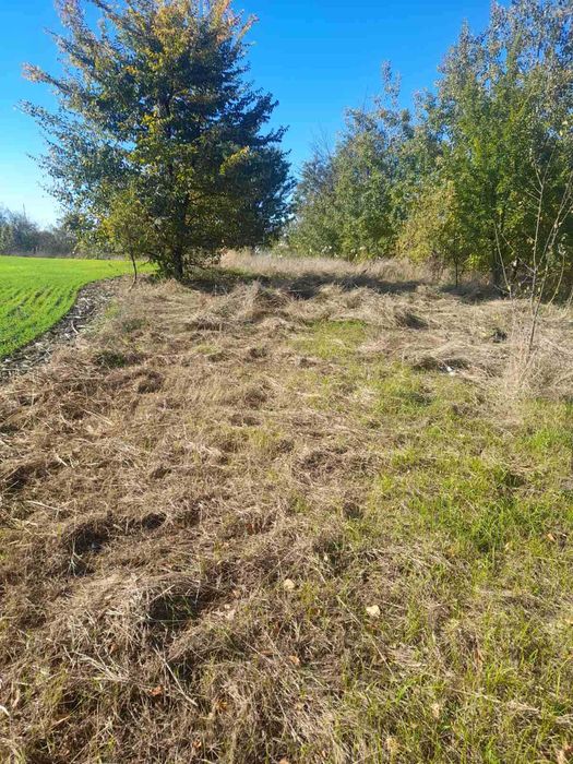 Продаж земельної ділянки