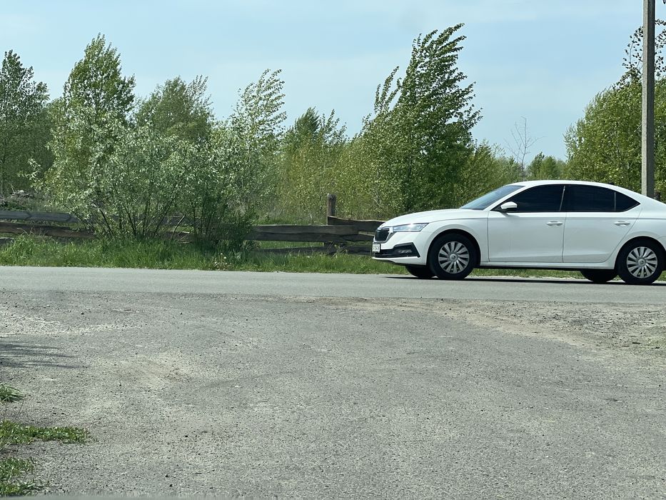 Пр уч 12с Зазимье Сады рай Авоськи