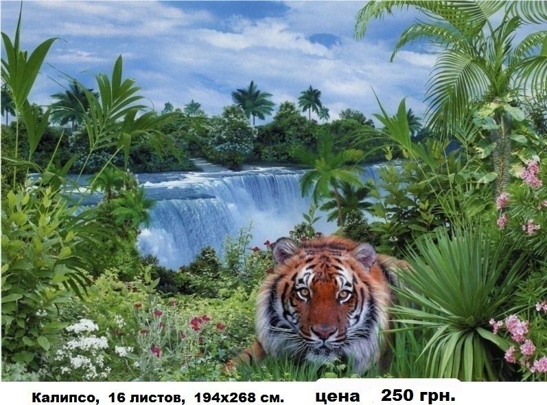 ФОТООБОИ больших размеров. Обои. Фотошпалери.