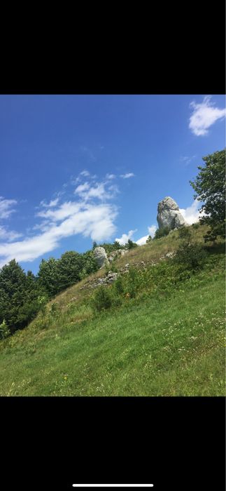 Zdjęcie 6