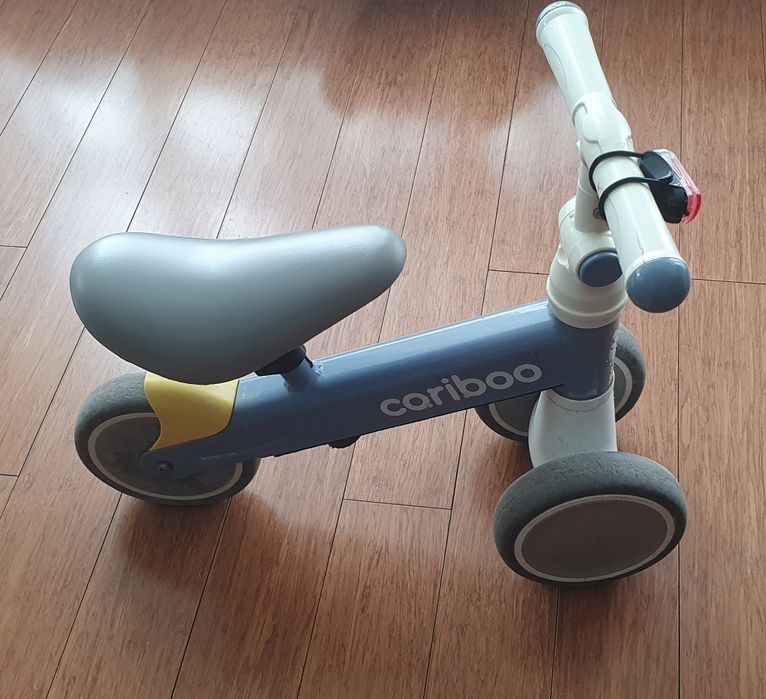 Rowerek Cariboo dla dziecka
