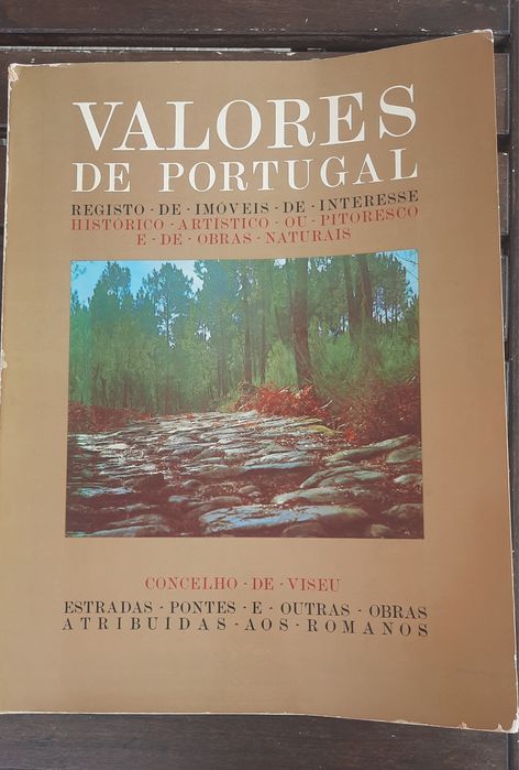 Valores de portugal concelho de Viseu