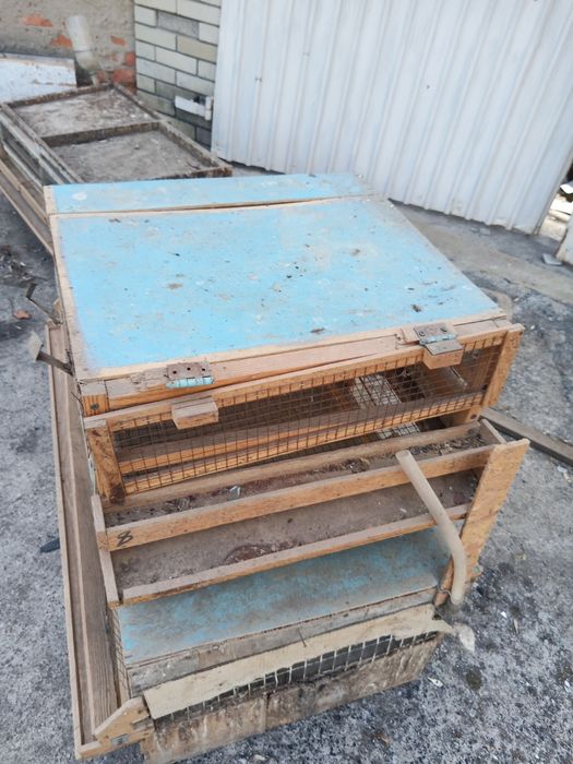 Клетки для перепелов