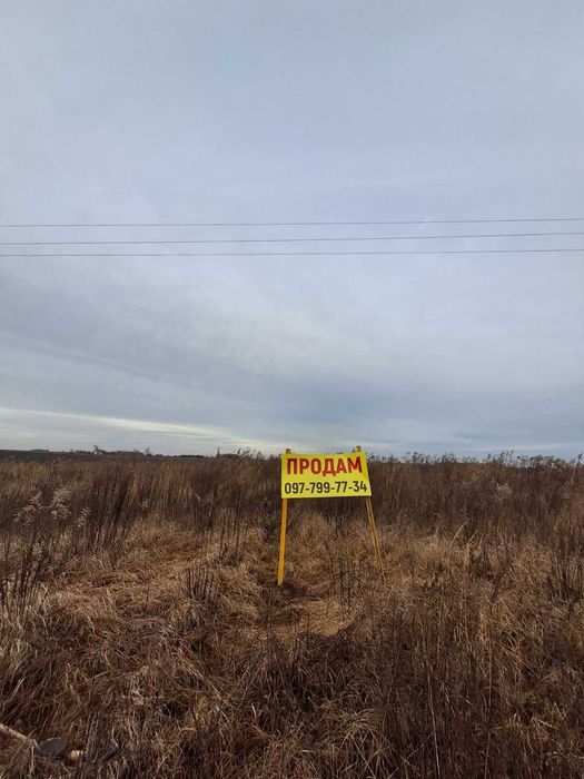 Земля# Садівництво# Білокриницька ОТГ