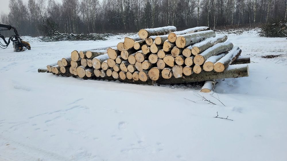 Drewno na opał - użytkowe sztachety palety