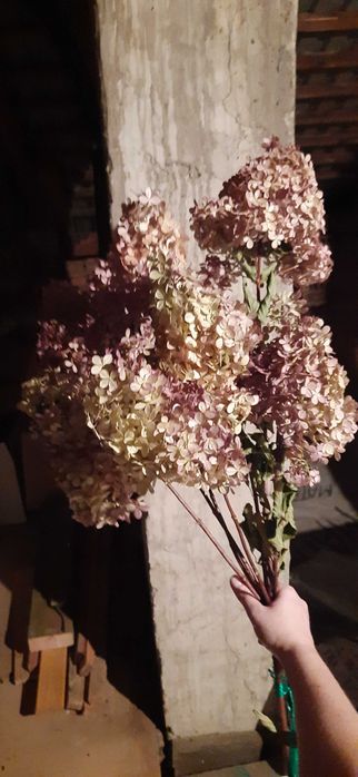 Bukiet  różowy hortensja