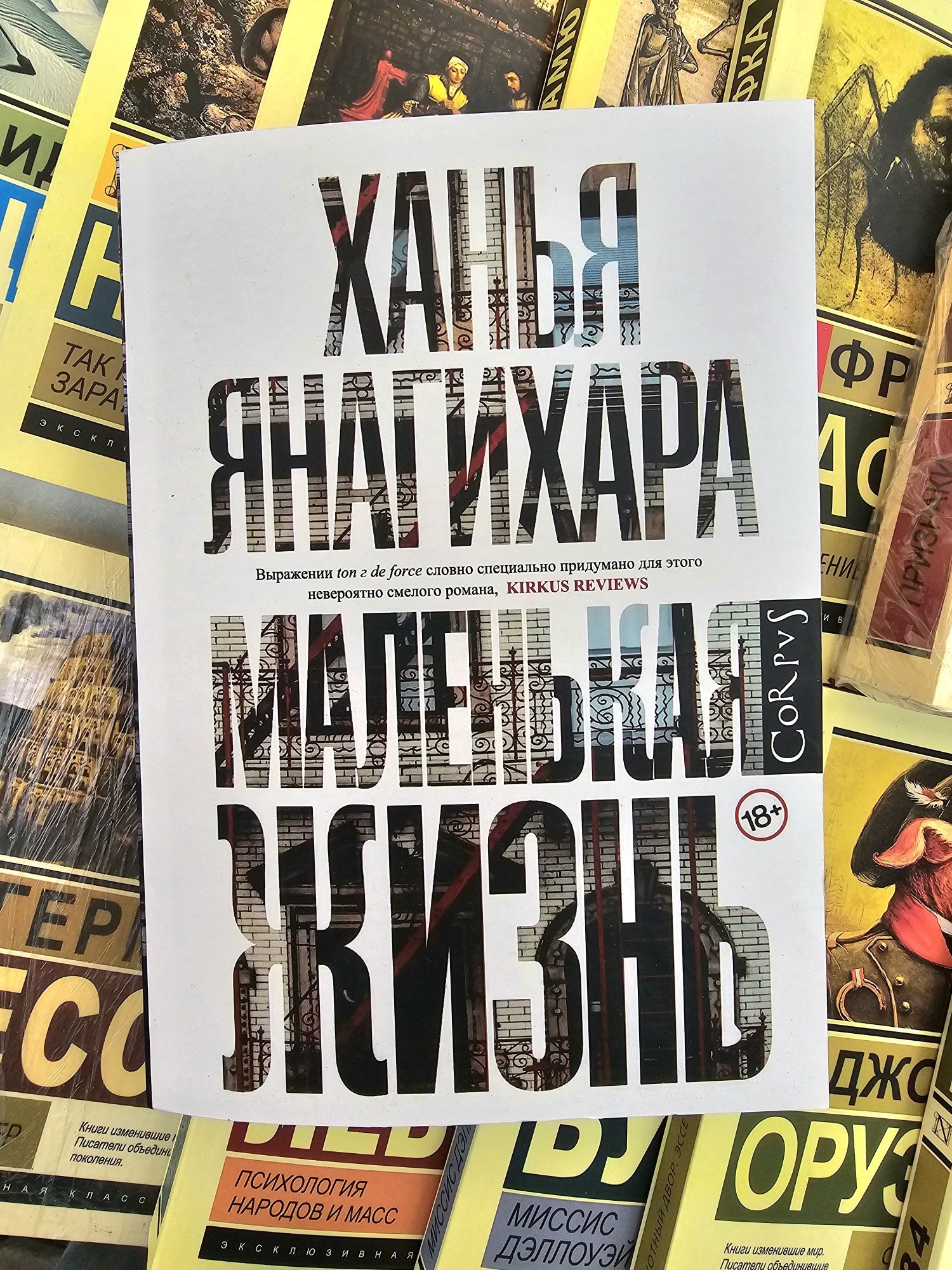 Книги Маленькая жизнь/Бегущая с волками/Рэнд/Тысячеликий герой/Шегол ...