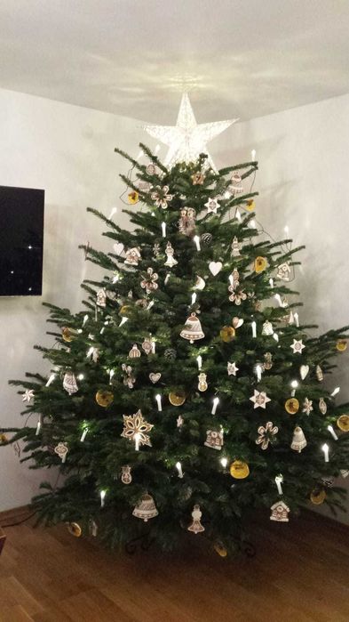 Choinki na święta – duży wybór, super ceny!