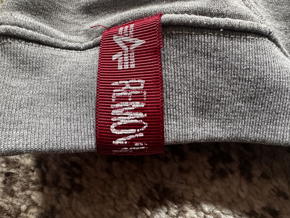 Оригінальне худі Alpha Industries Basic Small Logo (Grey Melange)