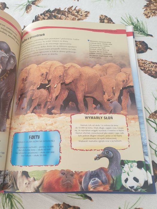 Książka dla dzieci o zwierzętach zagrożonych
