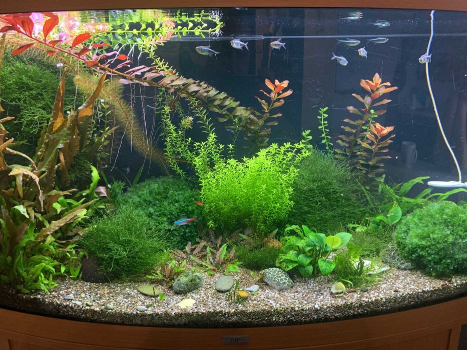 Акваріум Juwel 180 с системою CO2