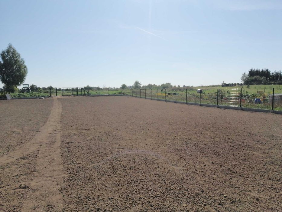 Glebogryzarka separacyjna Dojazd 100 km GRATIS!!!