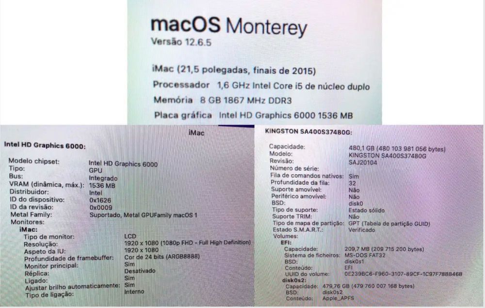 iMac 21,5" - 8GB RAM, 500GB SSD, macOS Monterey (12.6.5)