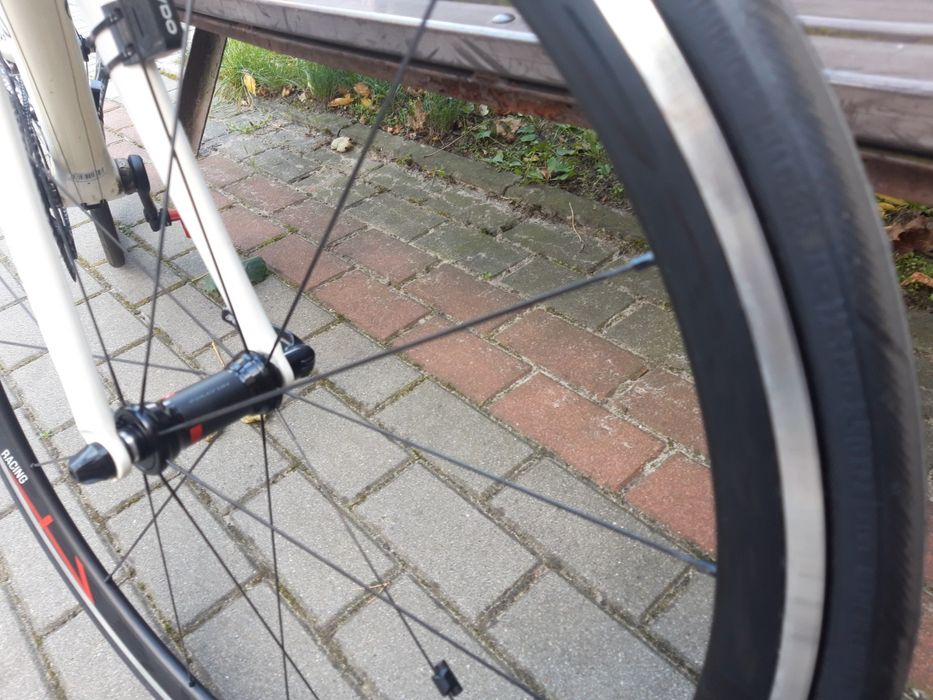 Wilier mortirolo